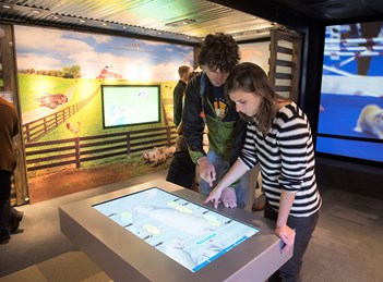 Effective Mobile Environments: Engaging All Types of Learners